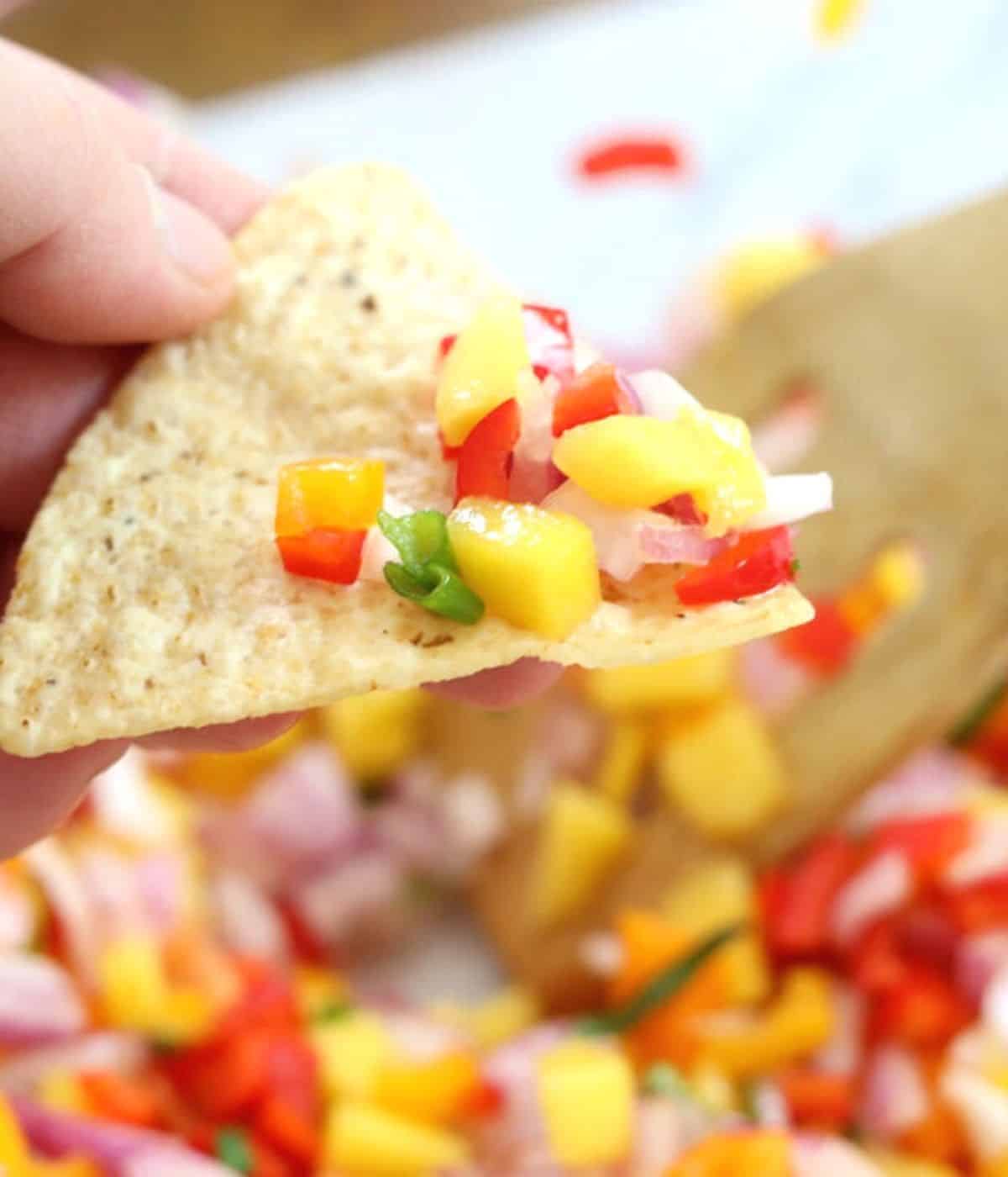 salsa on tortilla chip