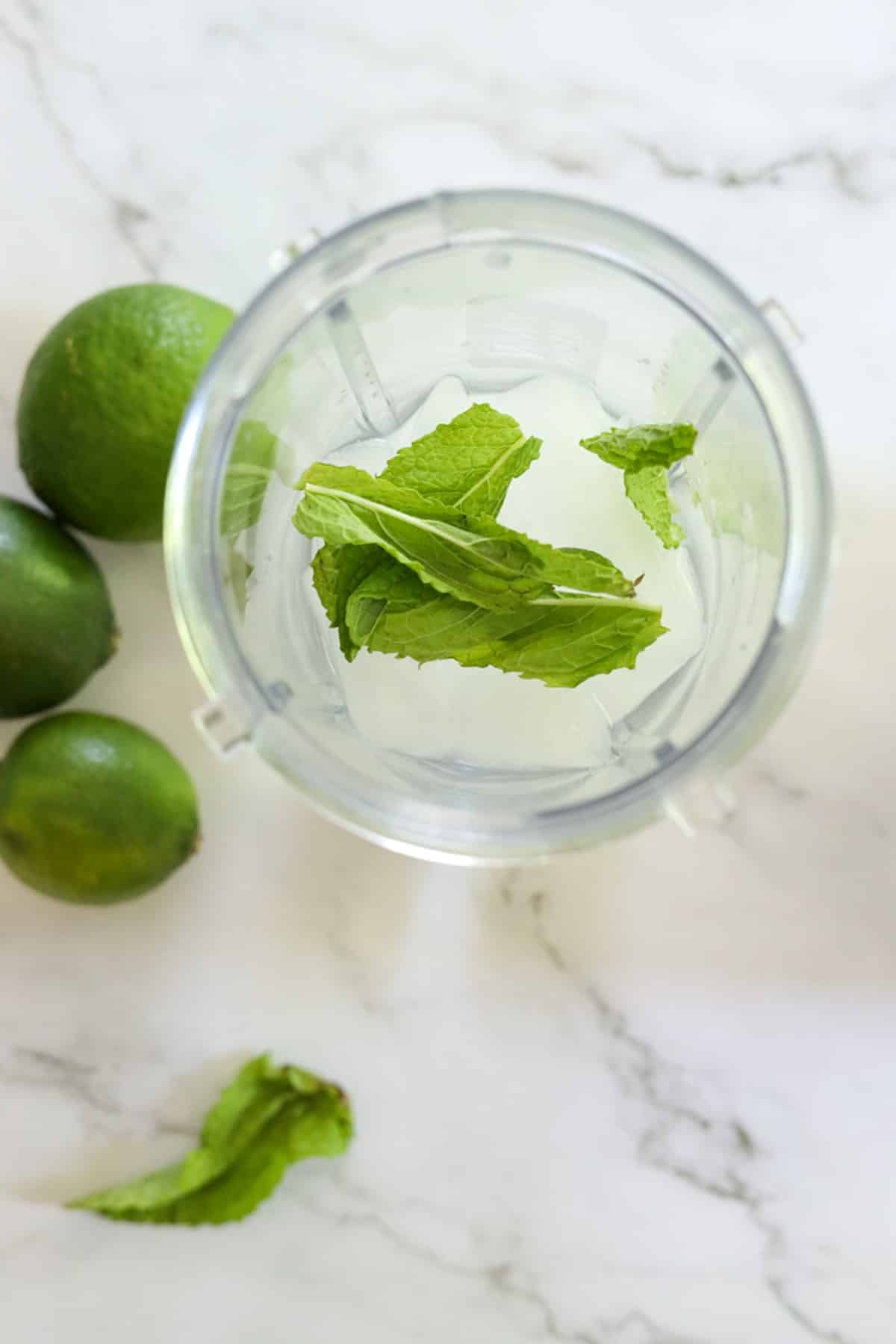limes mint and a blender with ice