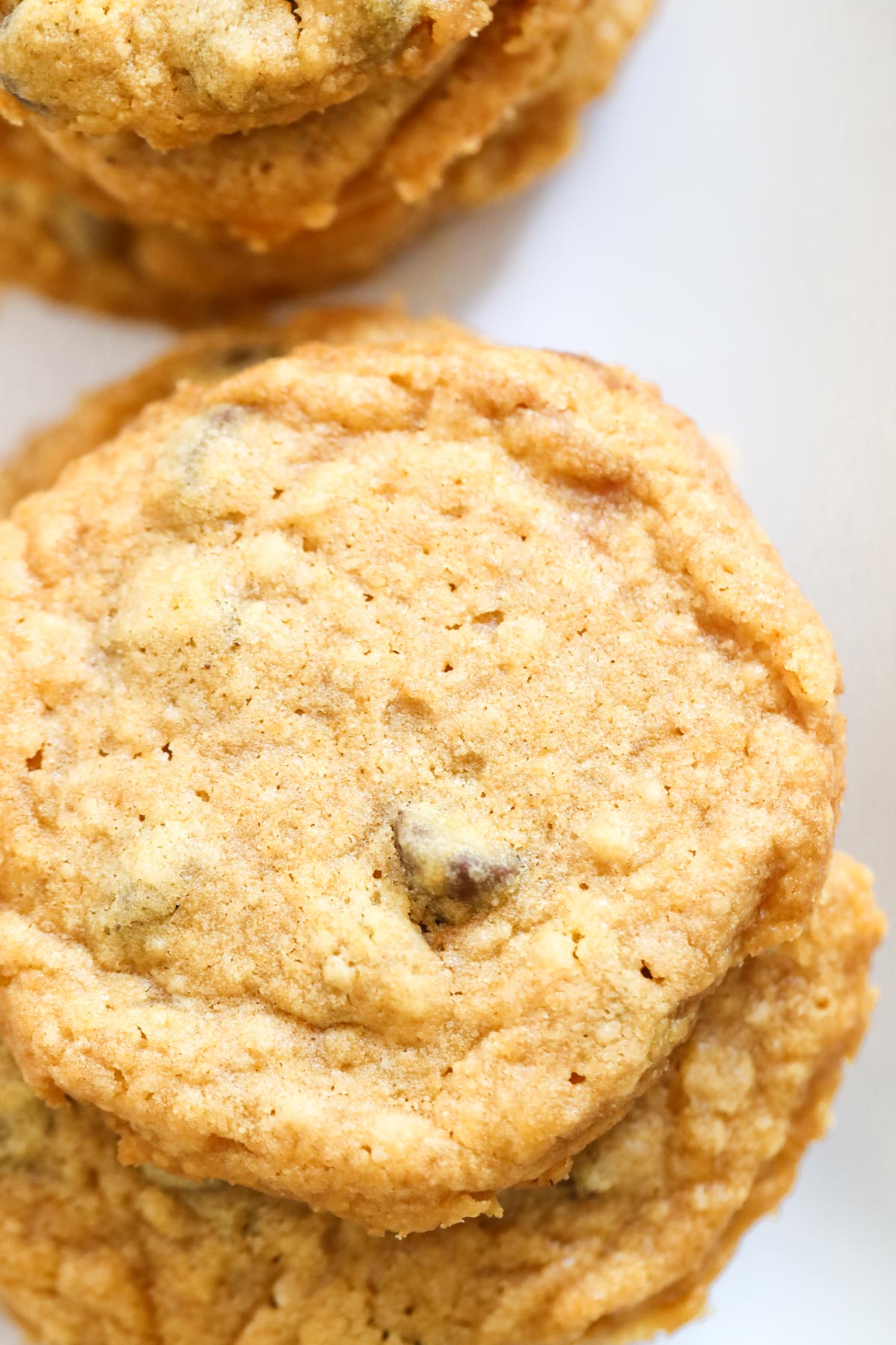 Pumpkin cookie up close