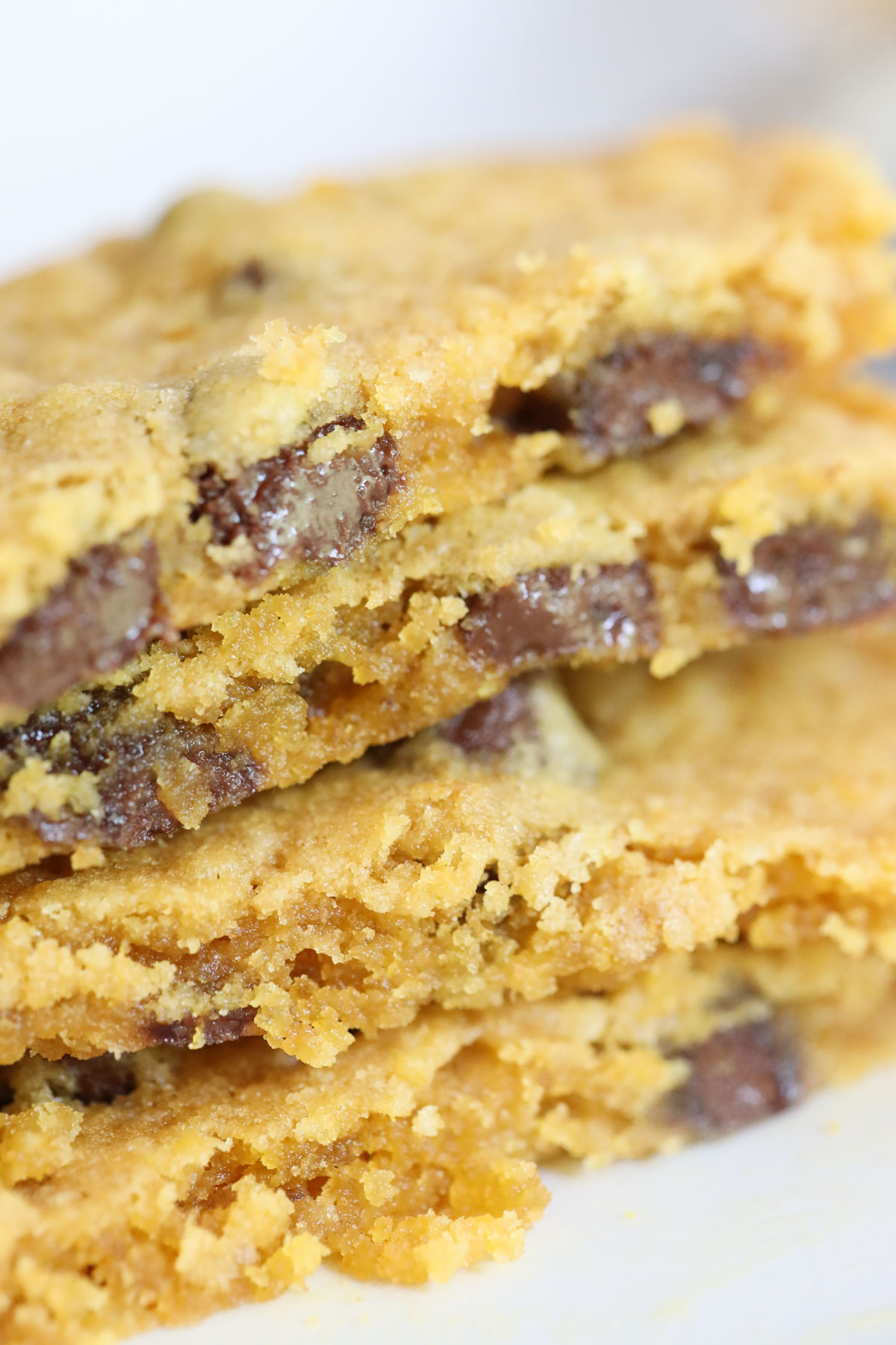 Close up of chocolate chip pumpkin cookie
