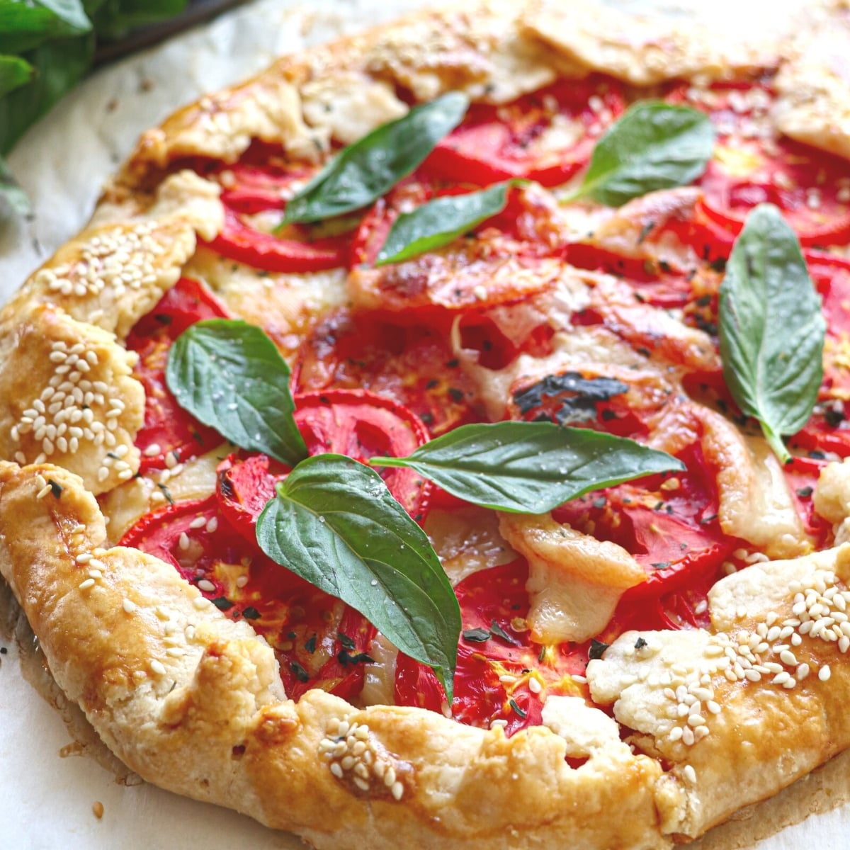 tomato galette with fresh basil and melted mozzarella