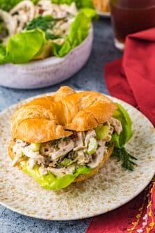 Classic Chicken Salad (Sweet & Tangy) - Chunky in Kentucky