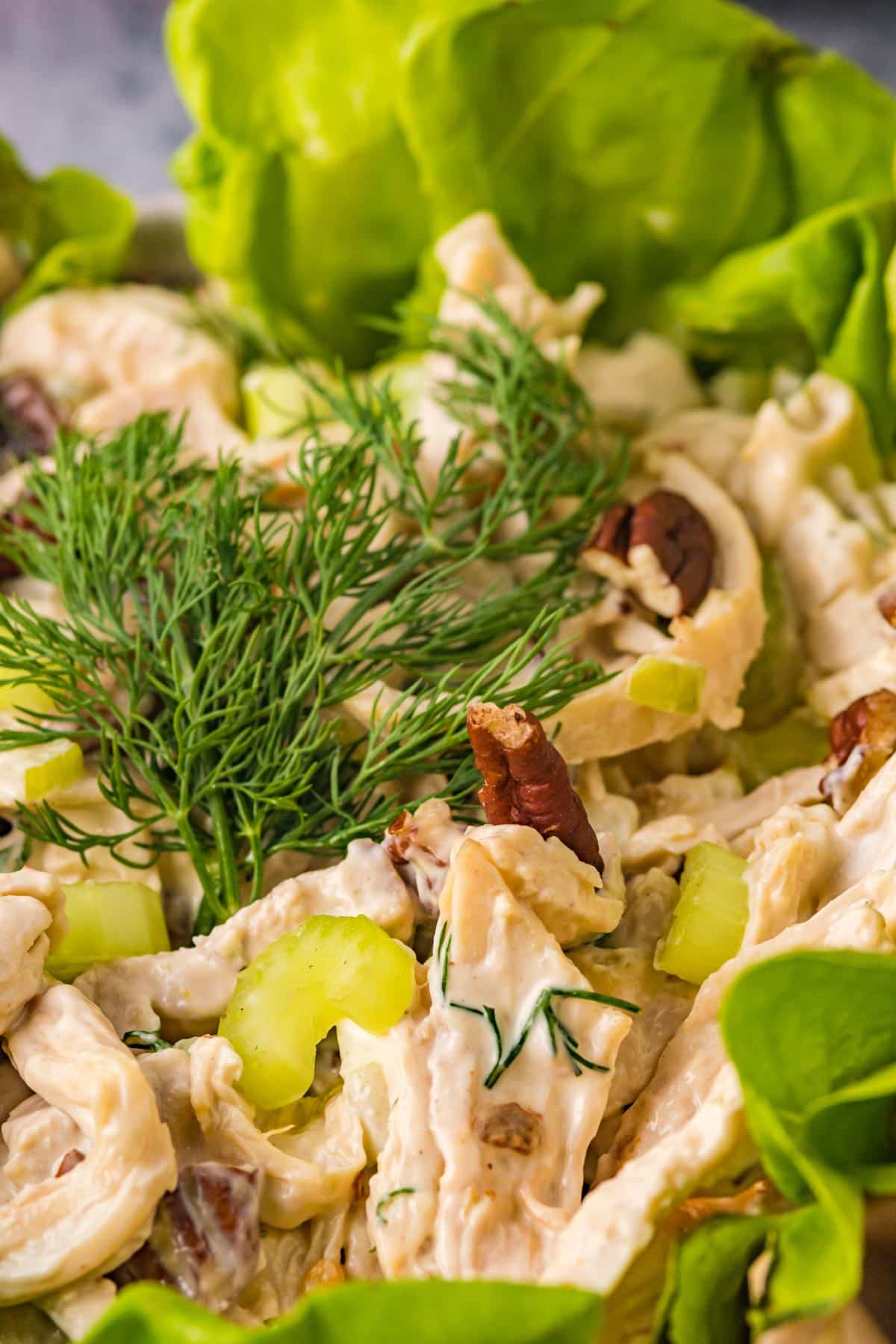 close up of chicken salad ingredients, revealing dill, celery, mayonnaise dressing, and lettuce