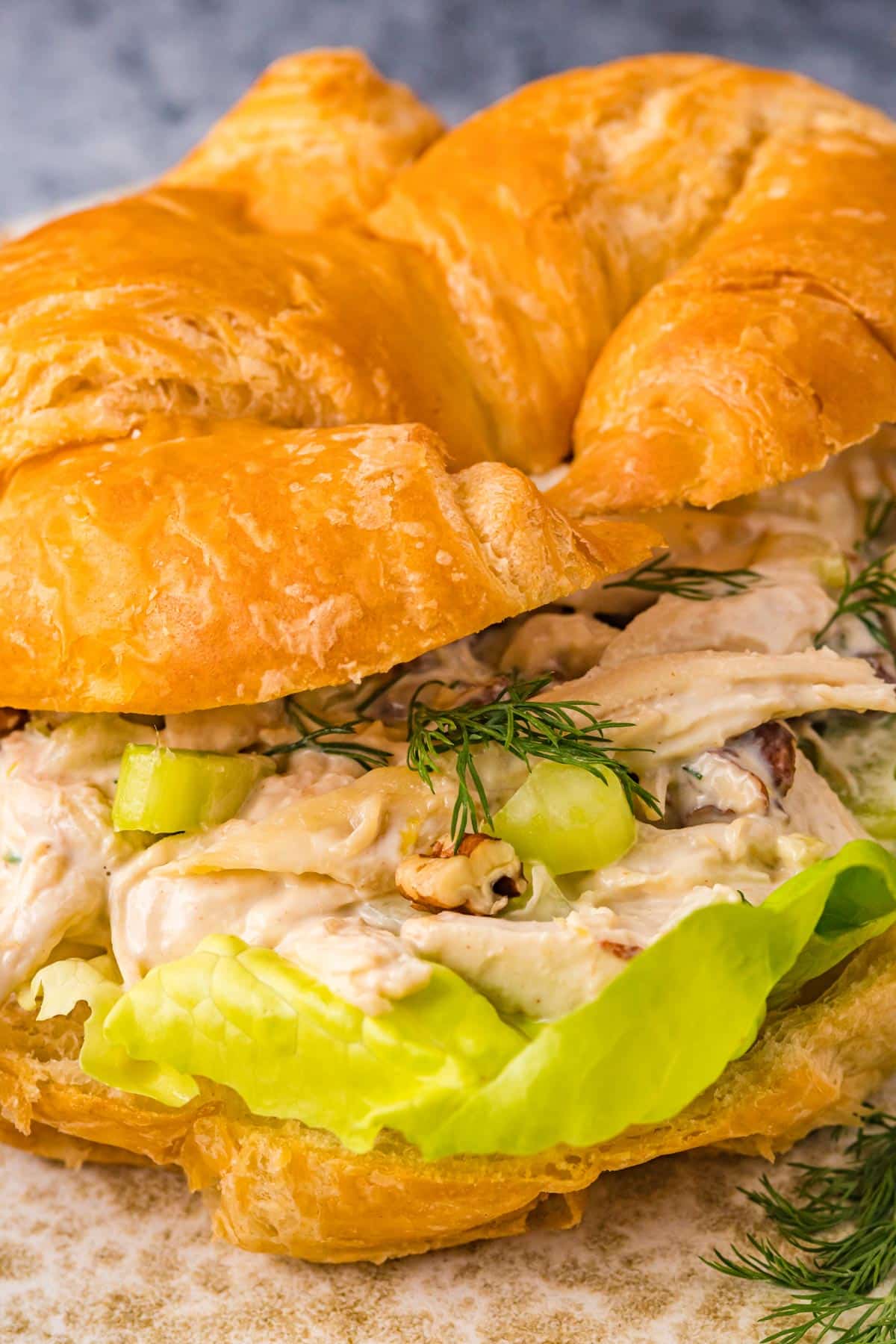 chicken salad sandwich with croissant bread