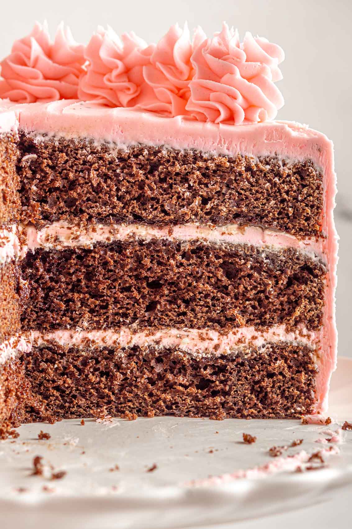 slice from the cake revealing the triple layer chocolate and strawberry frosting inside