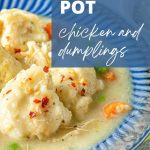 bowl of chicken and large dumplings