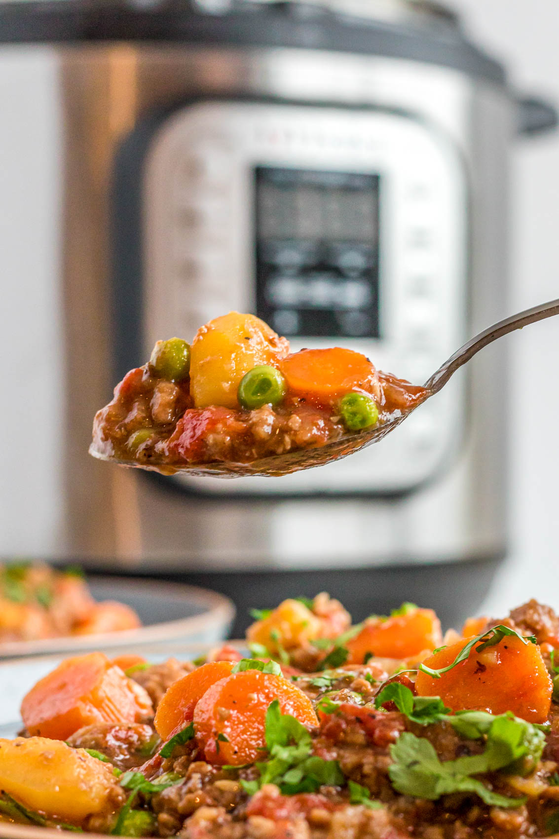 spoonful of vegetable hamburger stew with carrots, peas, and potatoes