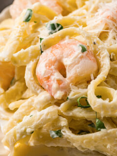 shrimp with fettuccine pasta and cream sauce