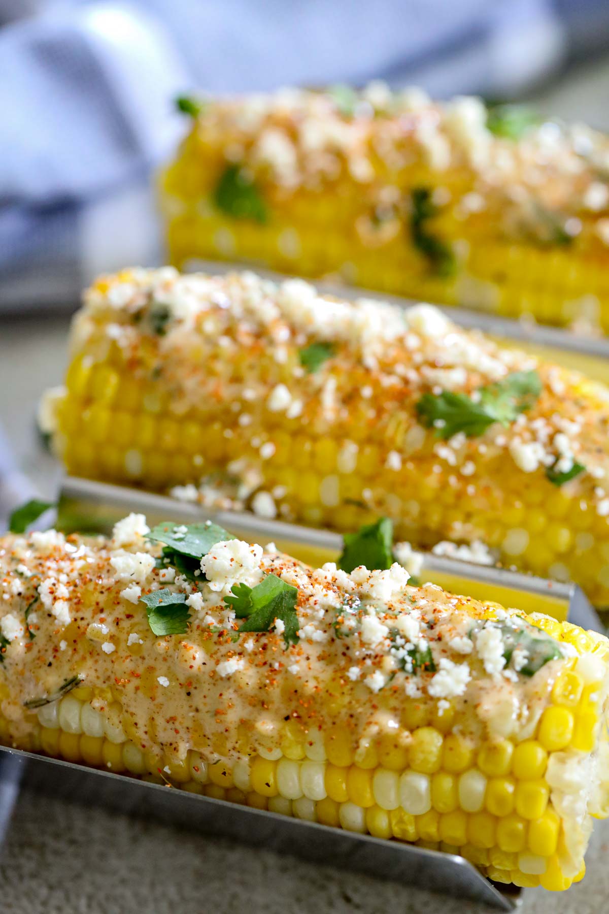 street corn covered in cotija cheese and cream sauce garnished with cilantro