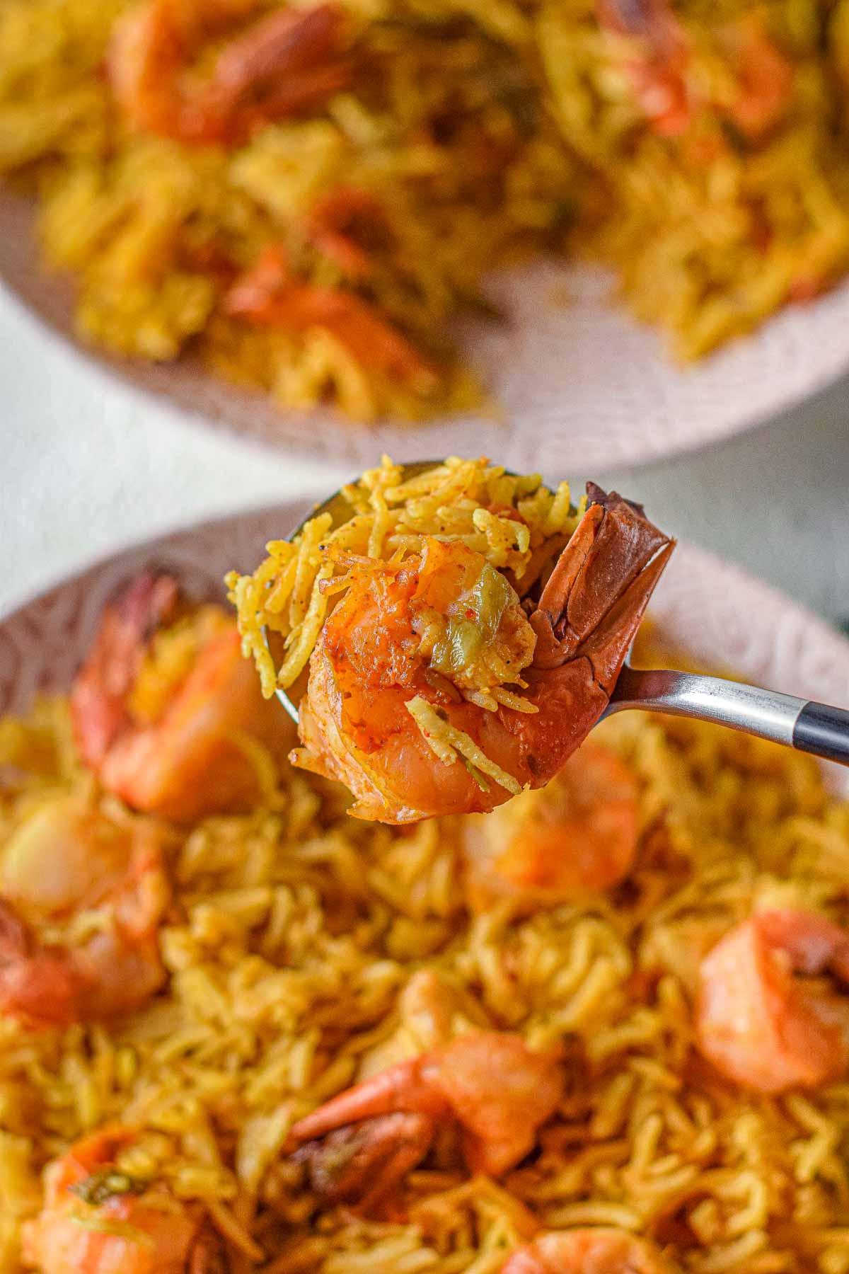 spoonful of shrimp biryani and rice