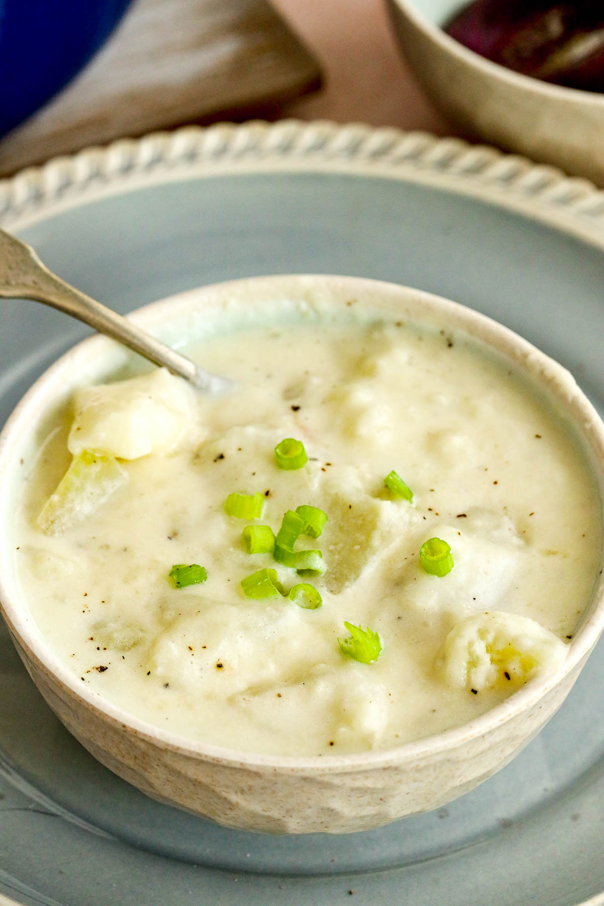 bowl of potato soup topped with green onion, salt and pepper