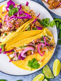 street carnitas with red onion, lime and cilantro garnish