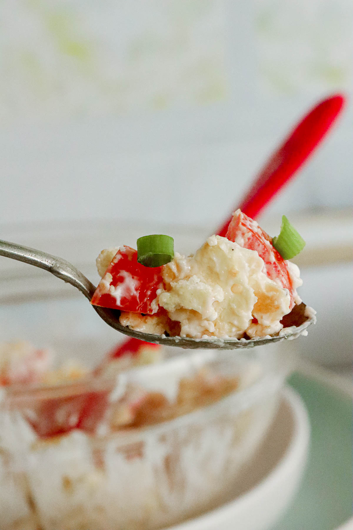 spoonful of tomato cracker salad